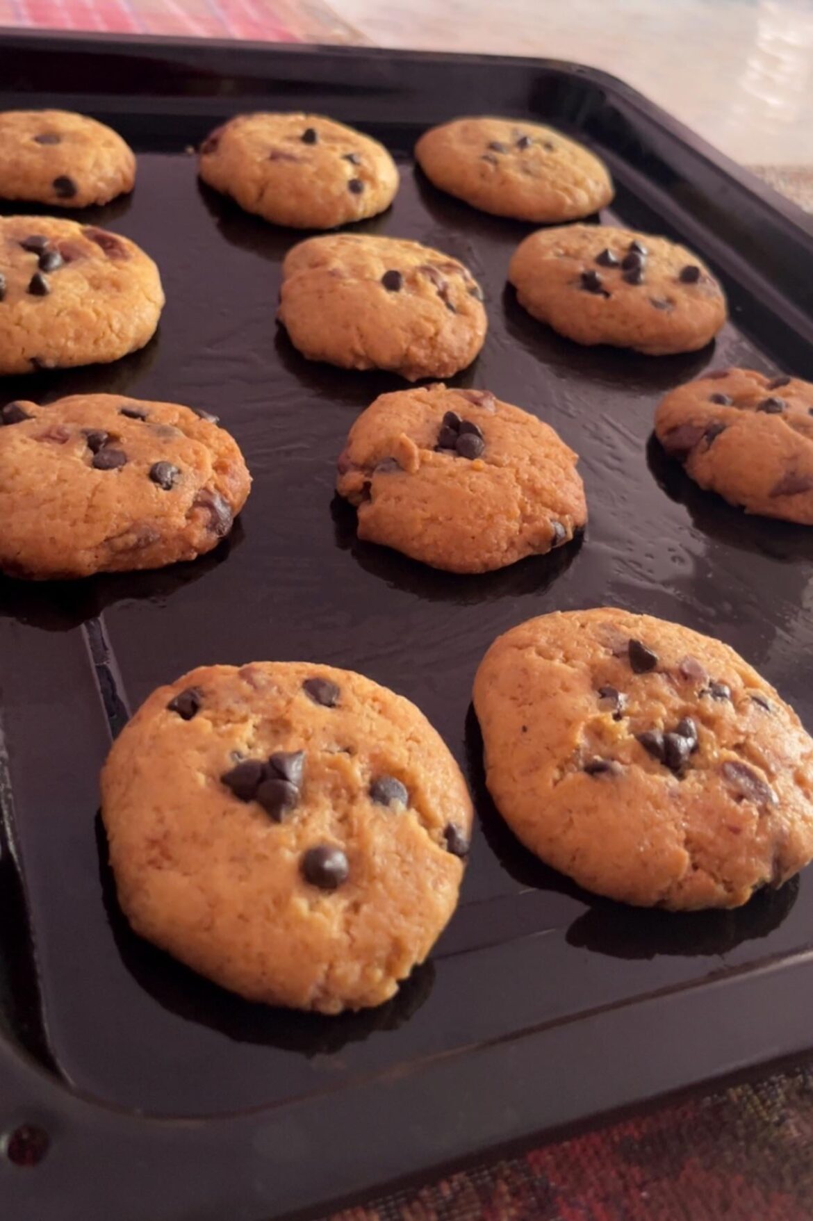 Homemade choco chip cookies