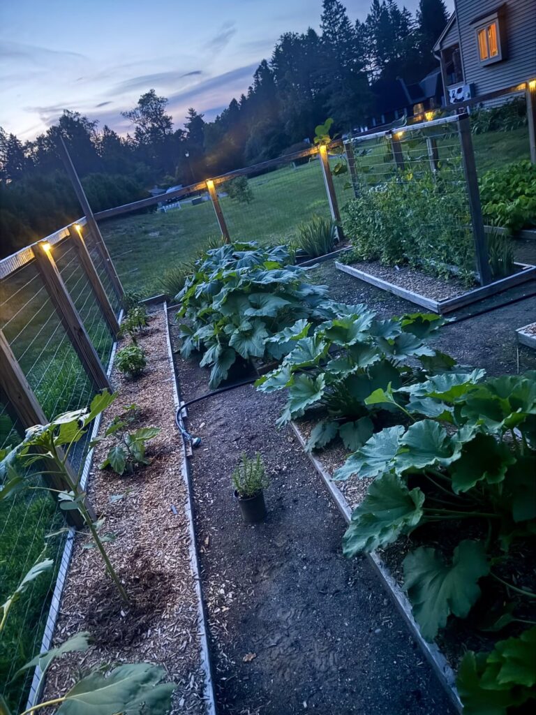 When it’s finally green and growing!