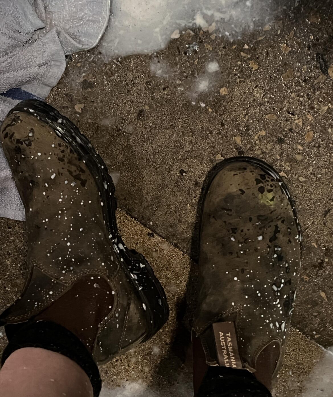 breaking in my blunnies the way god intended