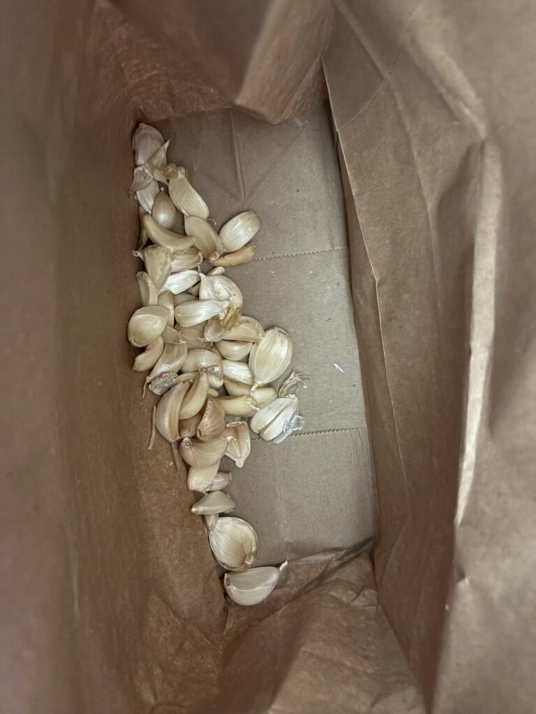 Forgot my scallions and green beans… but I got all this garlic instead!