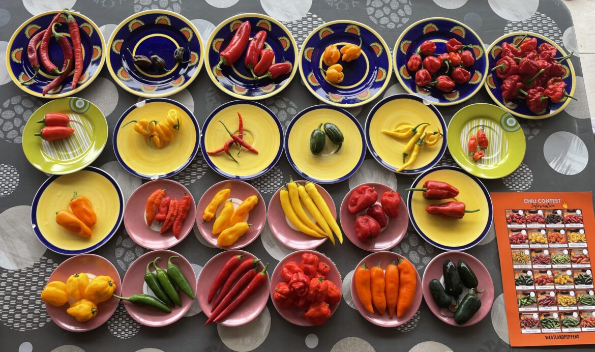 On today’s episode of how badly can I hurt myself…