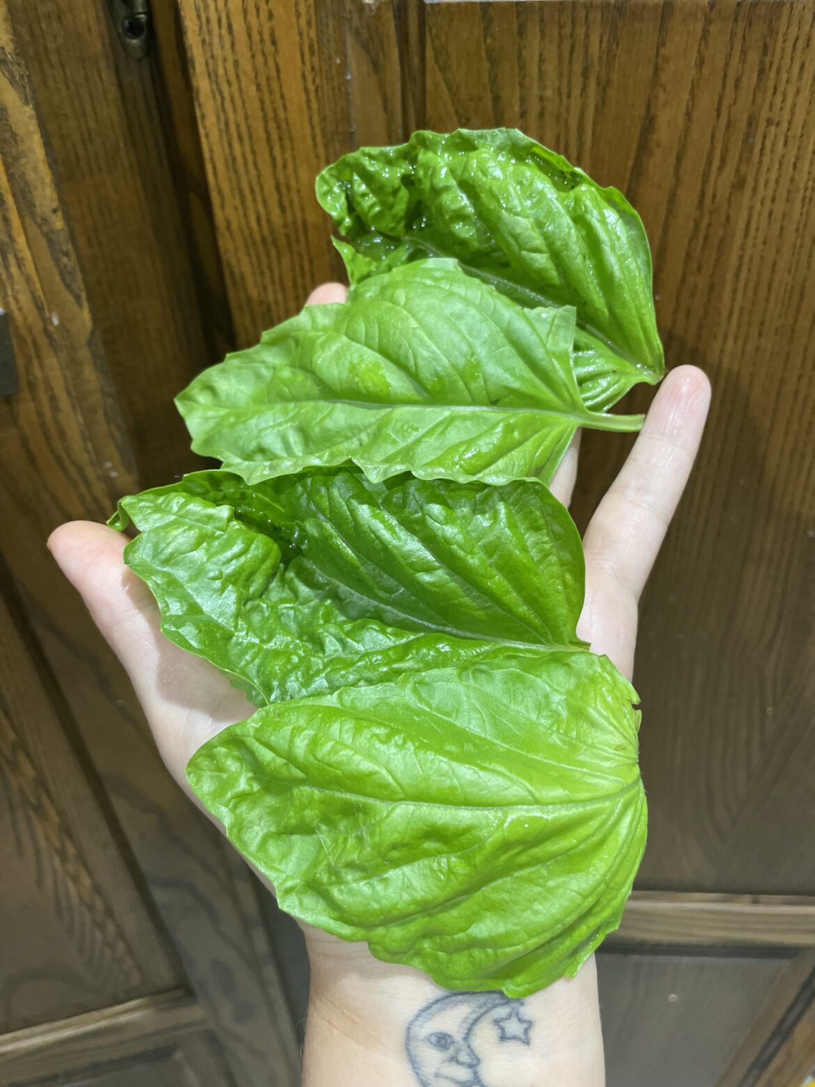 Lettuce. Leaf. Basil