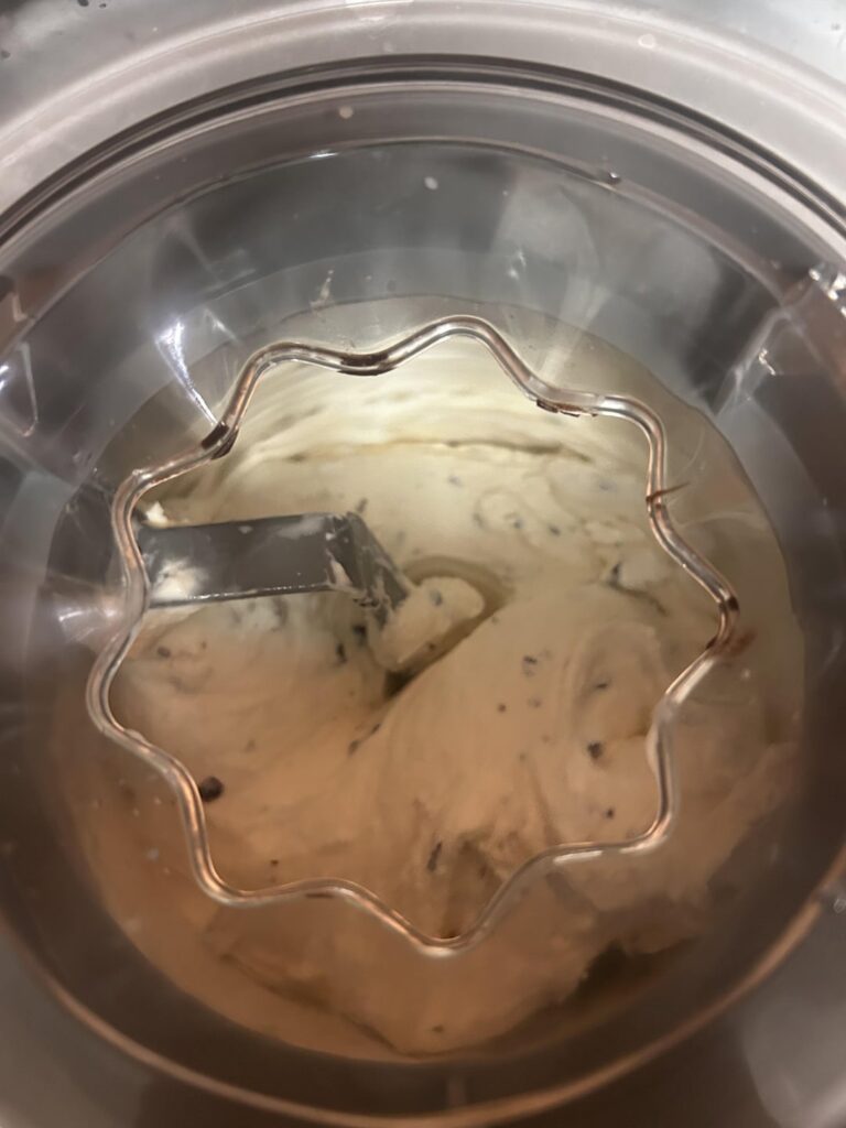 Vanilla malt stracciatella ice cream again, because she is just that girl