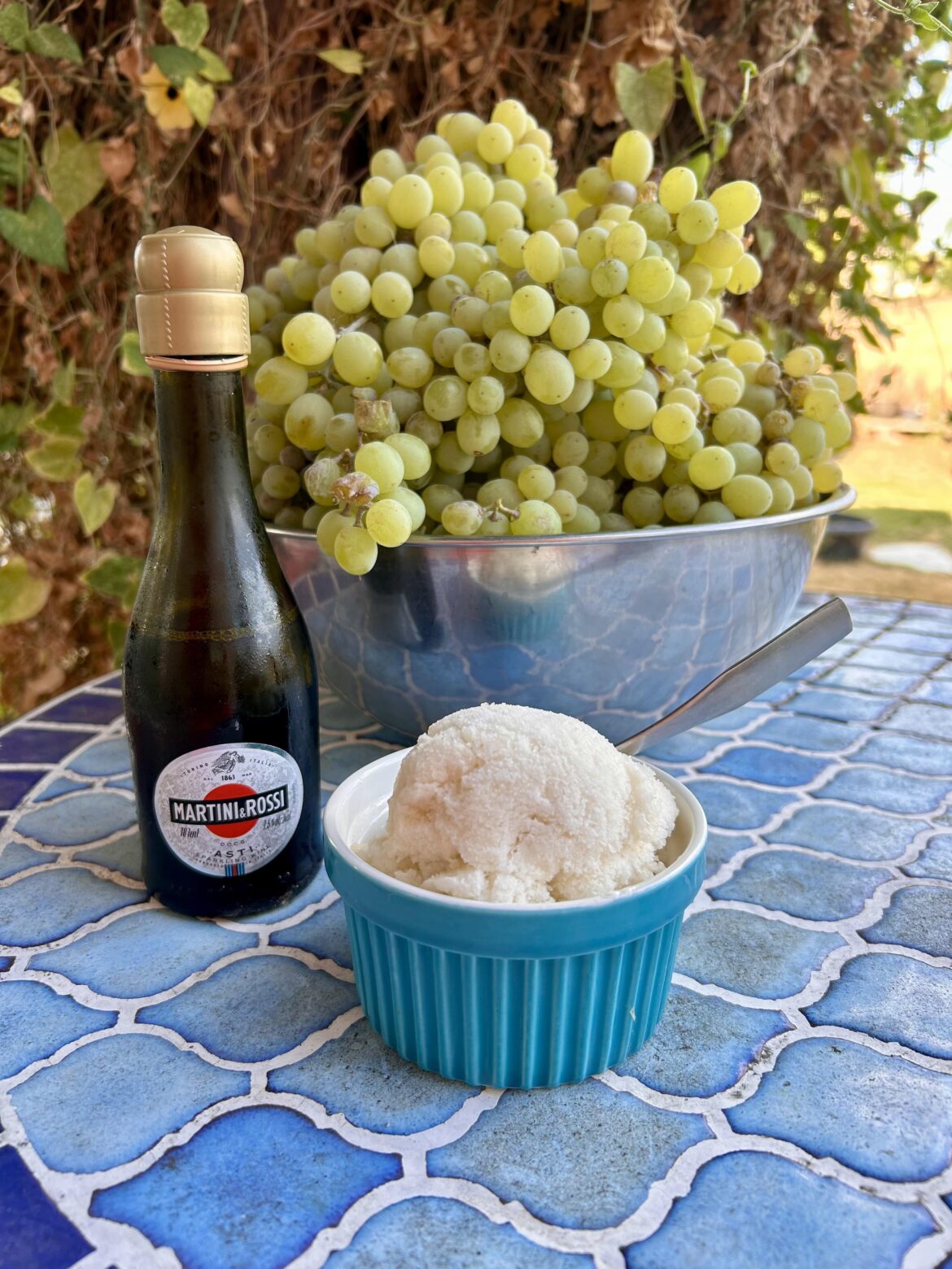 Champagne Grape Sorbet part II