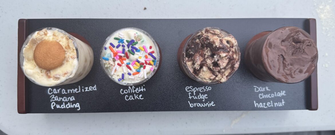 Flight I made for my bday party