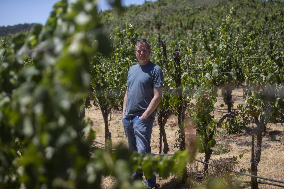 California wine industry torn on Trump tariffs