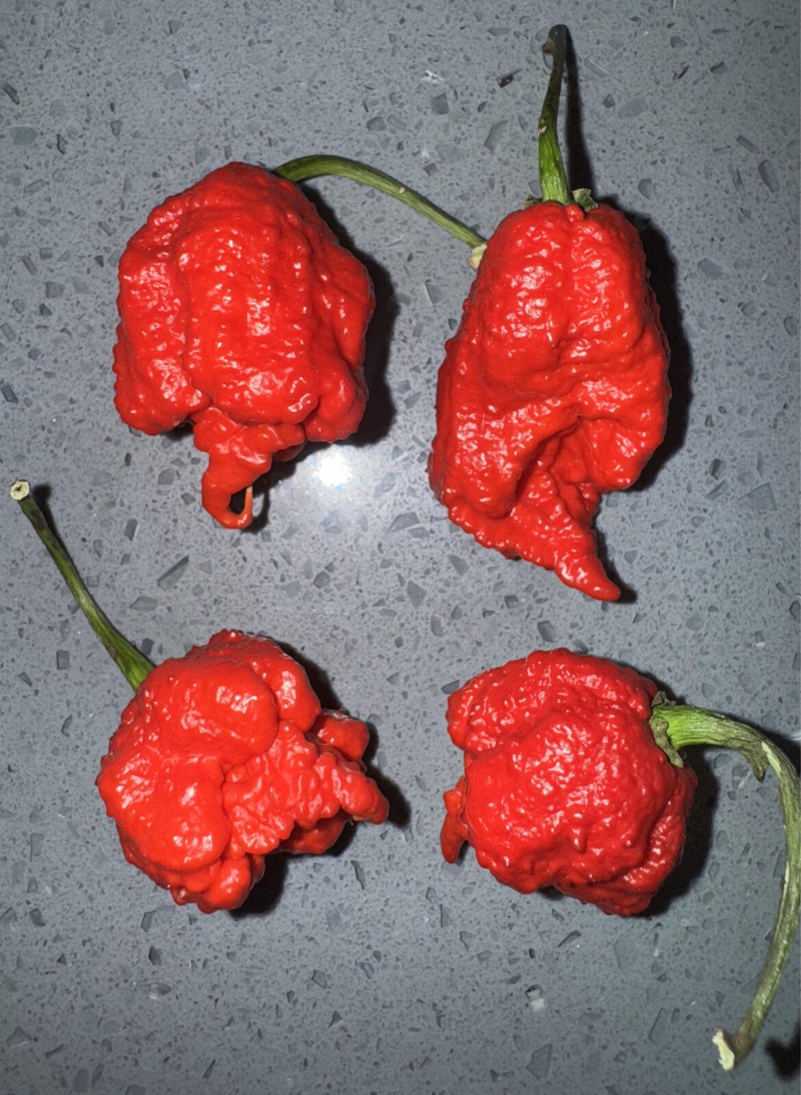 First round of reapers