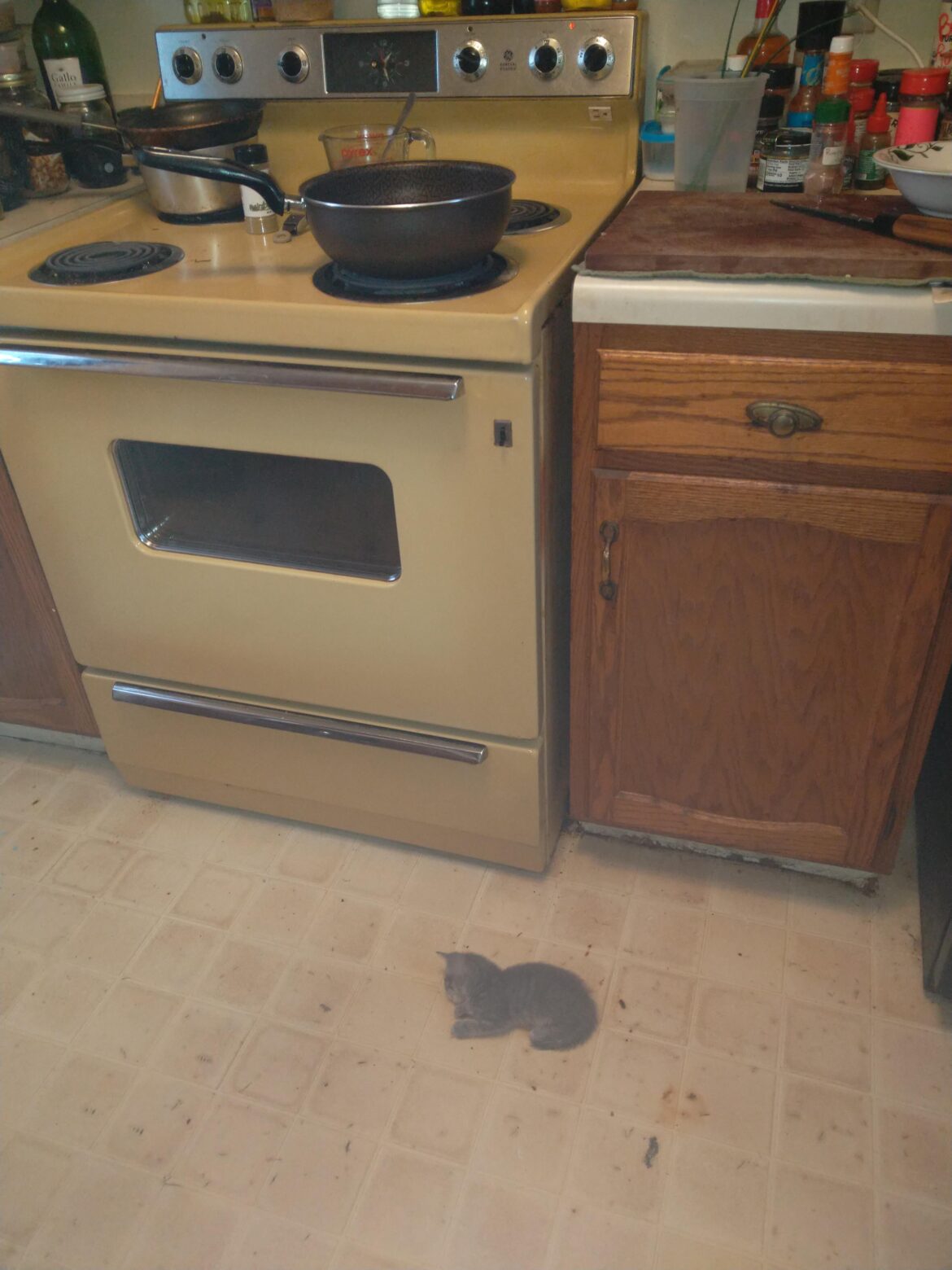 Private Stage, genuine question... Kinda