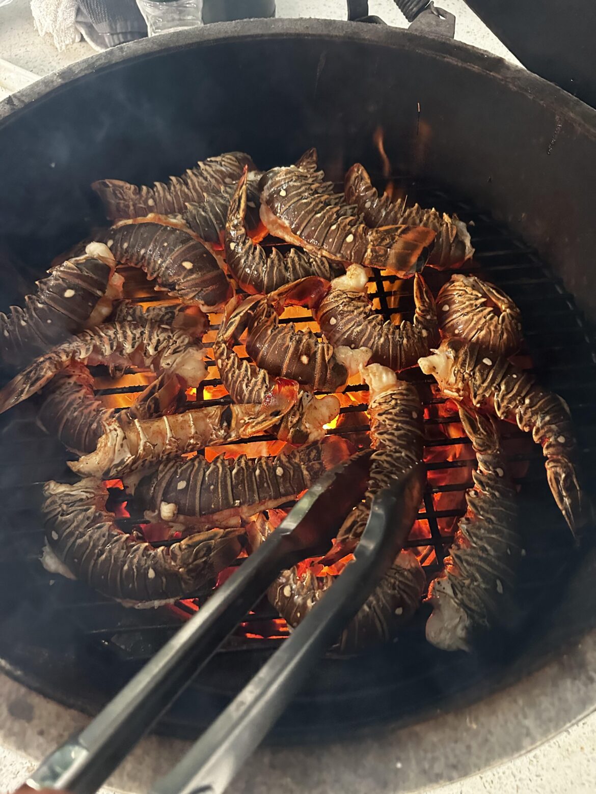 Florida Spiny Lobster