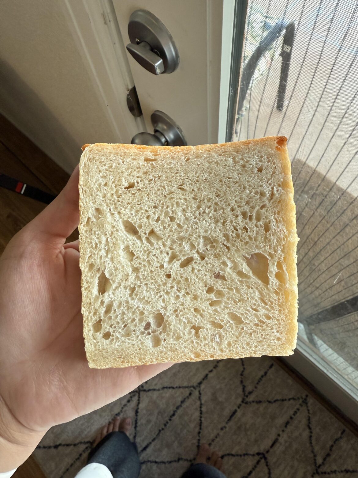 Sourdough in a Pullman pan!