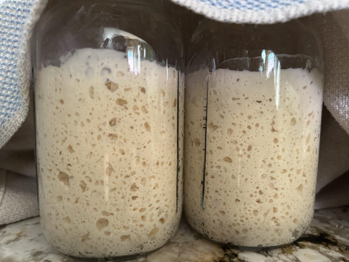 Made my own starter. This is at 2.5 weeks on the counter. Going to give it a try this weekend.