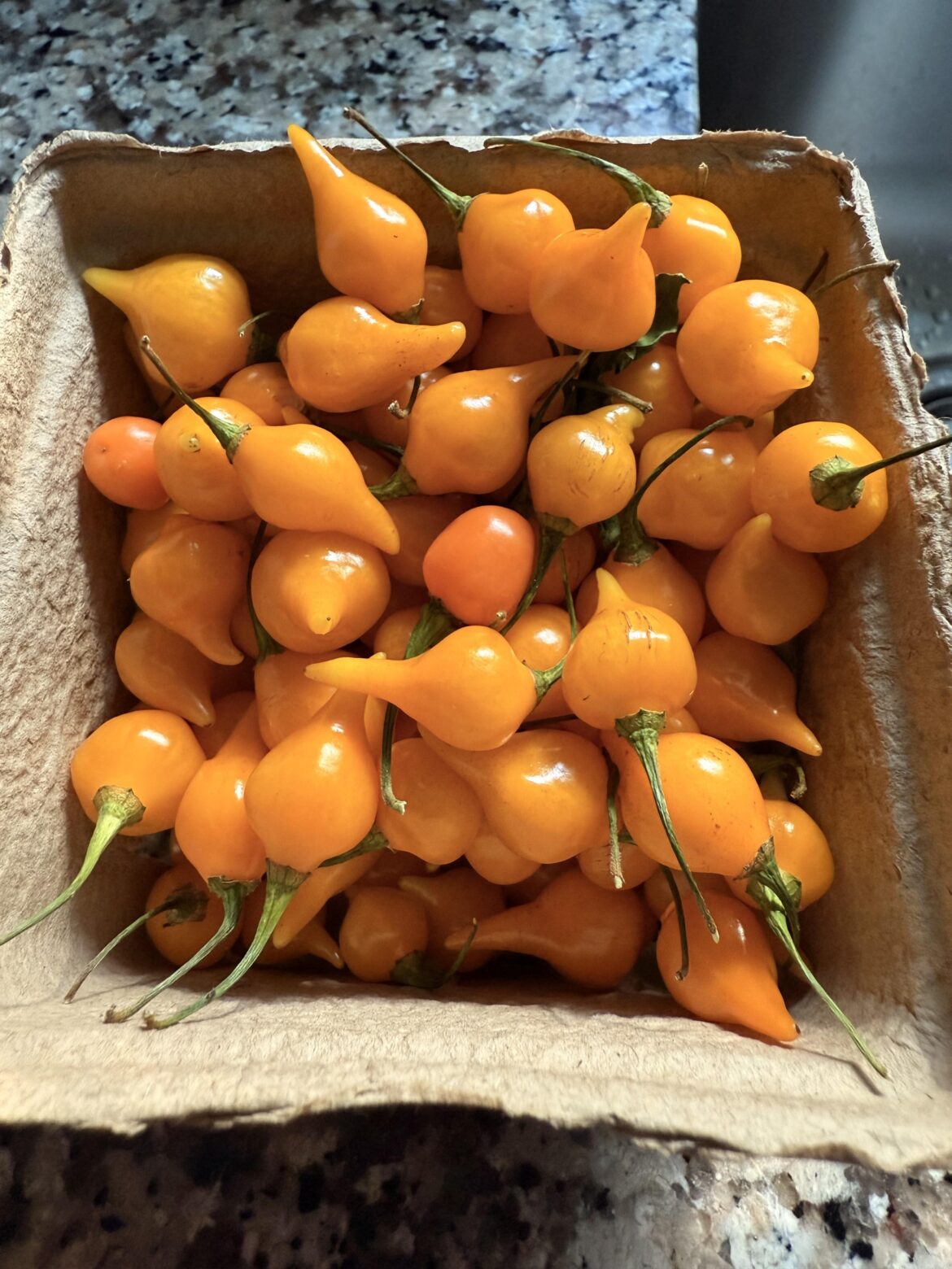 What would you do with these?