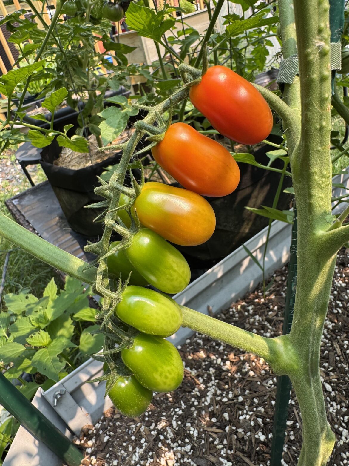 Finally after months of waiting - the prettiest rainbow!