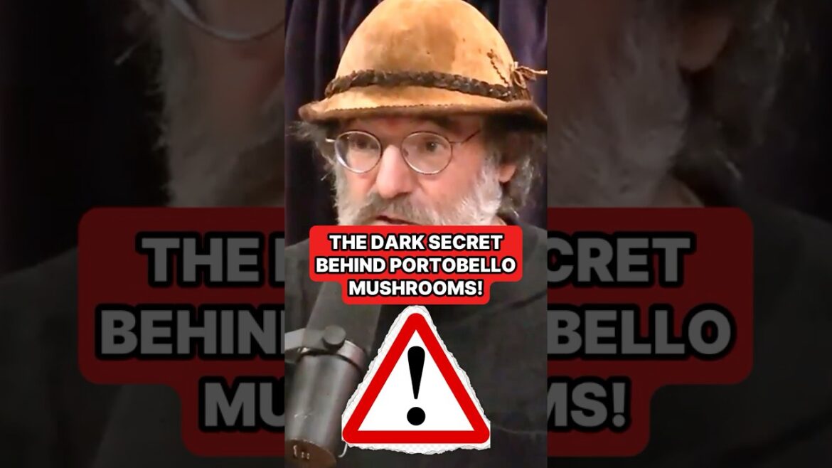 The SECRET behind Portobello Mushrooms! w/ Joe Rogan