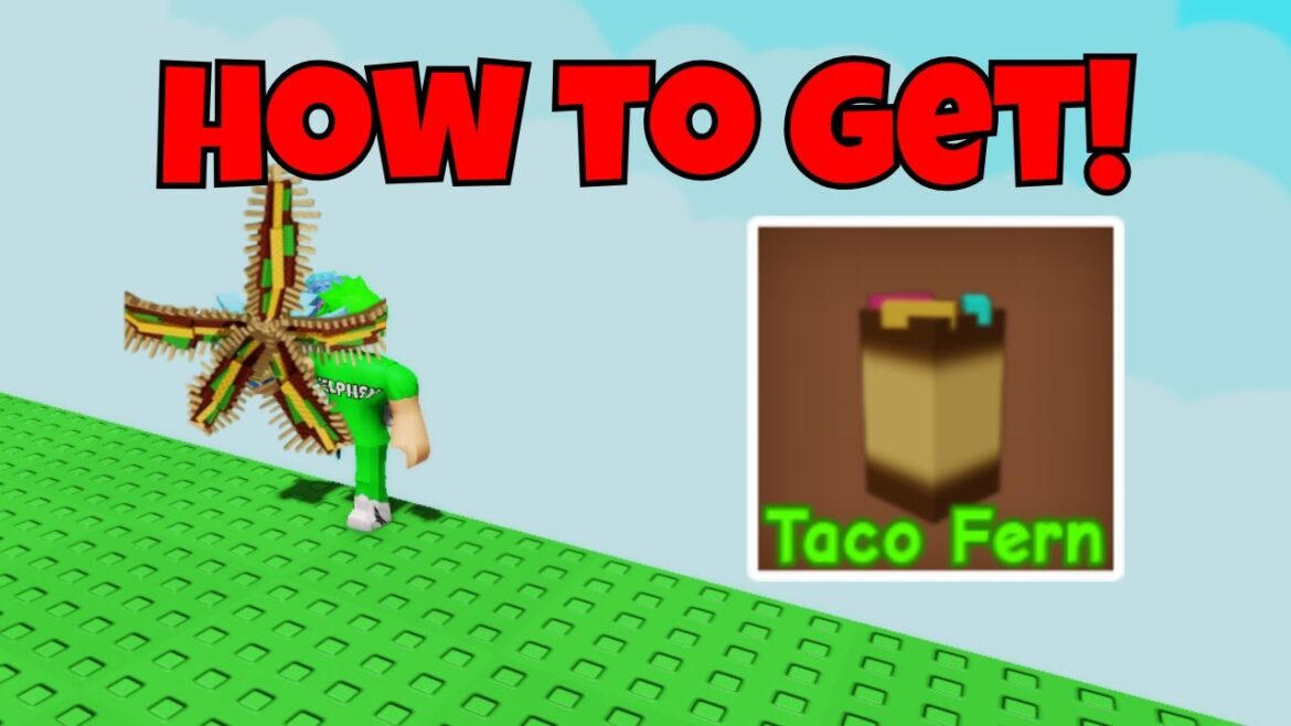 HOW TO GET TACO FERN SHOWCASE in GROW A GARDEN! | Roblox