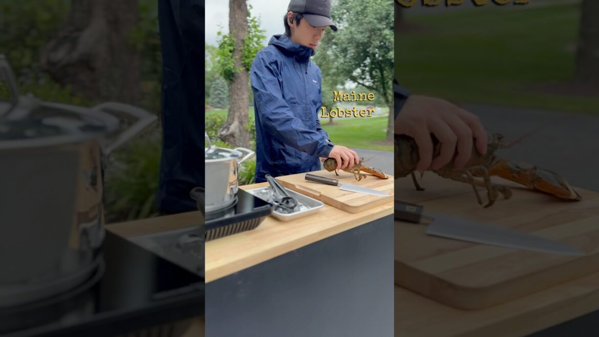 Lobster Risotto #cooking #recipe #outdoors #food #lobster #risotto #foodie #cookingoutdoors