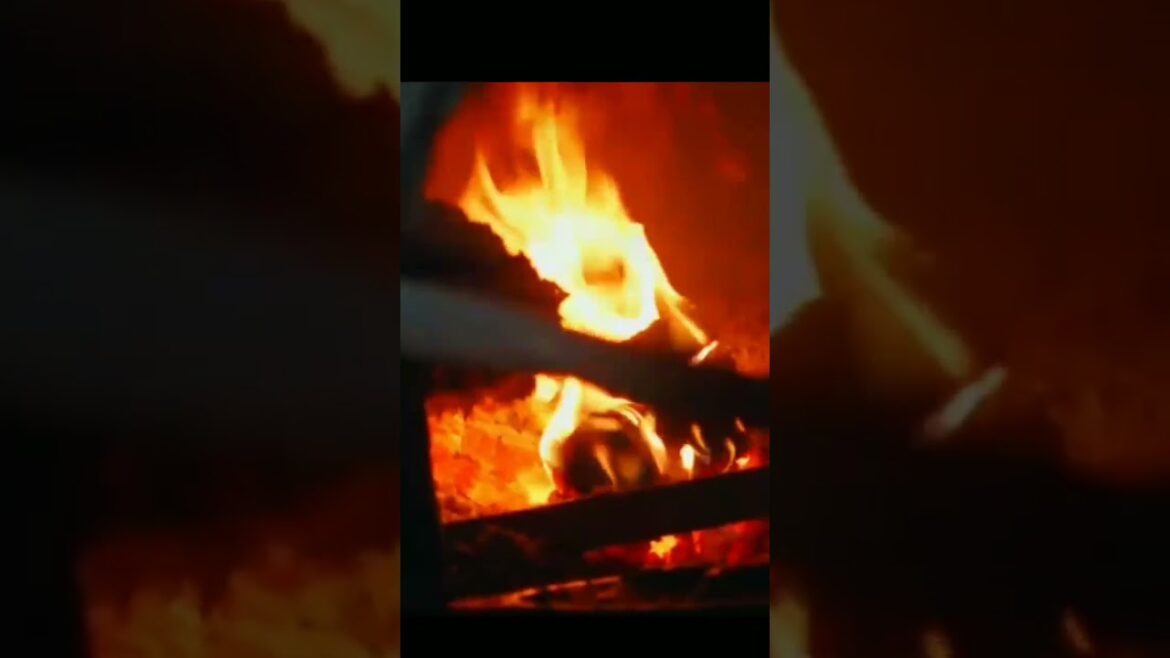 morrocan food Khobz (Traditional Bread)