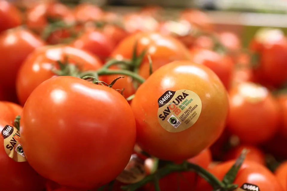 Eating tomatoes, berries, cherries and other fruit are recommended on the Mediterranean diet. They’re high in vitamin C and antioxidants (Getty Images)