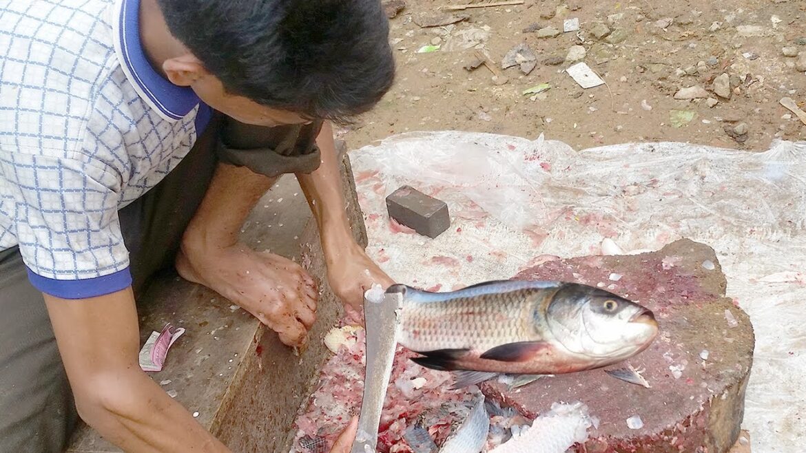 Amazing Katla Fish Cutting Live in Asian Fish Market 2025 || #FishCuttingMarket Amazing Katla Fish Cutting Live in Asian Fish Market 2025 || #FishCuttingMarket