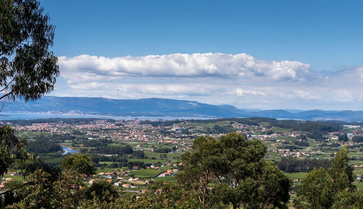 This Spanish Wine Region Puts On A Party For The Albariño Grape