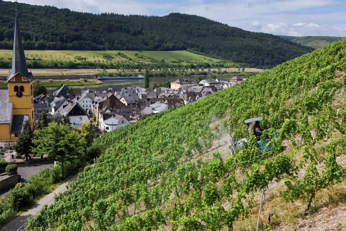 EU pushes for wine exemption to US tariffs EU pushes for wine exemption to US tariffs