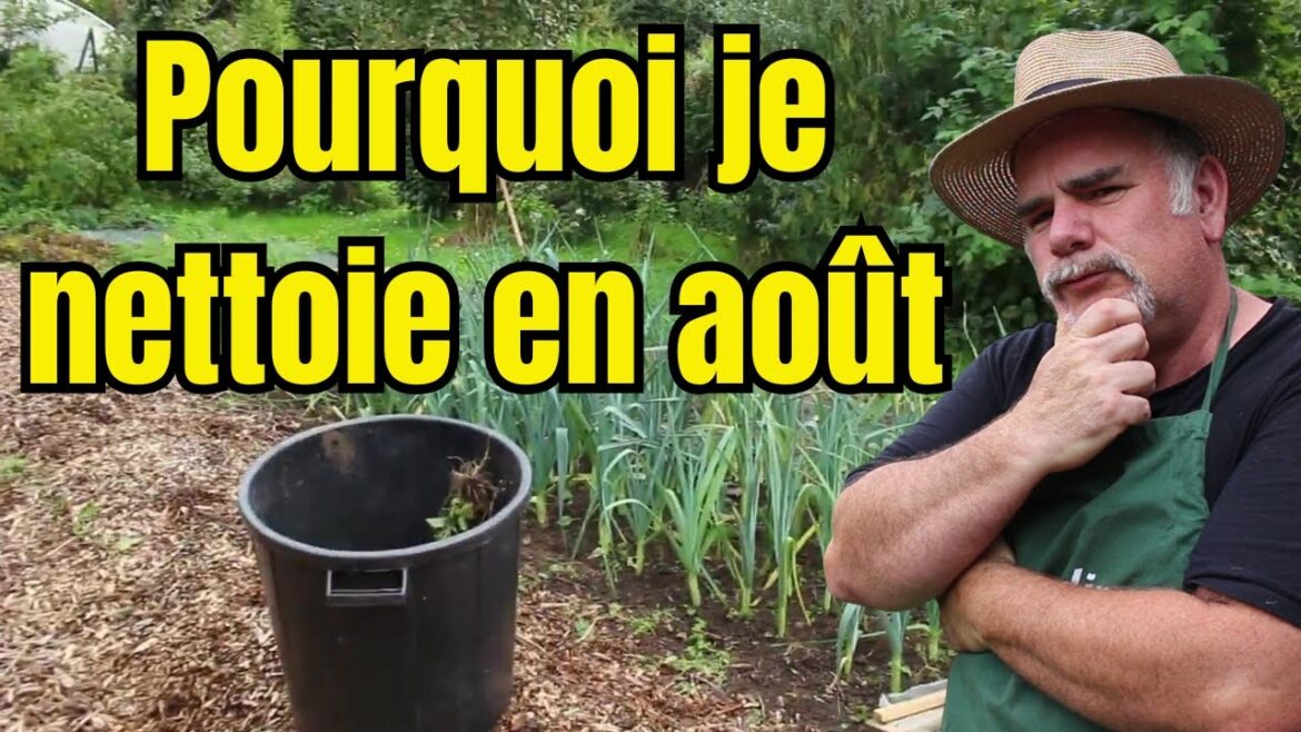 Pourquoi nettoyer le potager en août ?