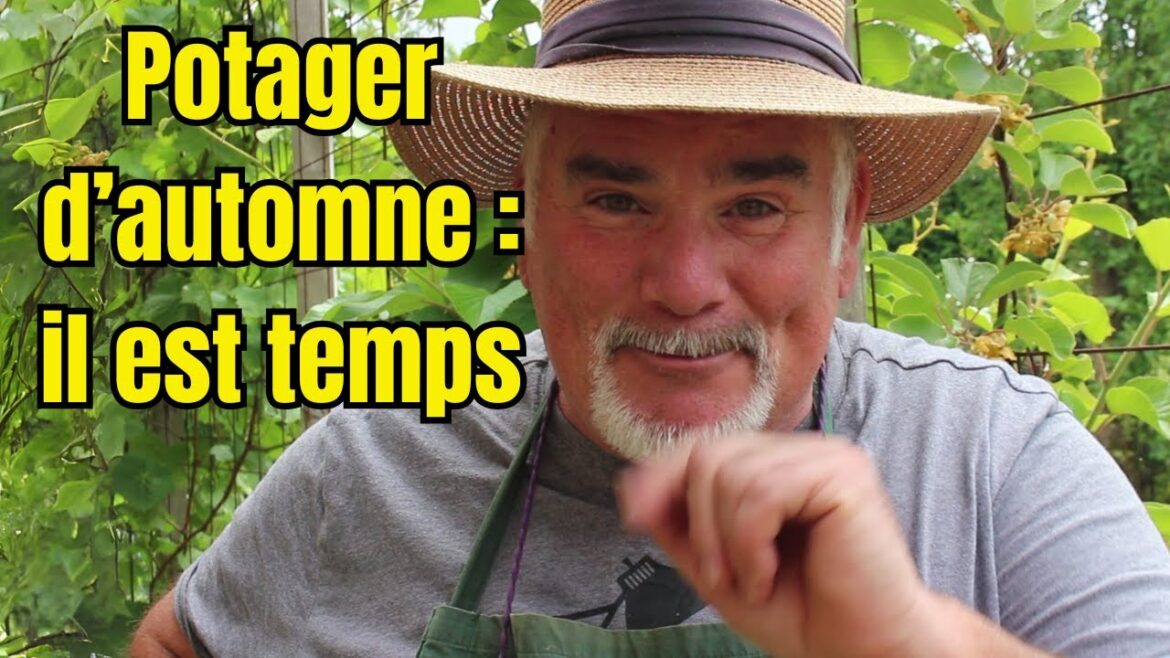 Préparer son potager d’automne dès maintenant