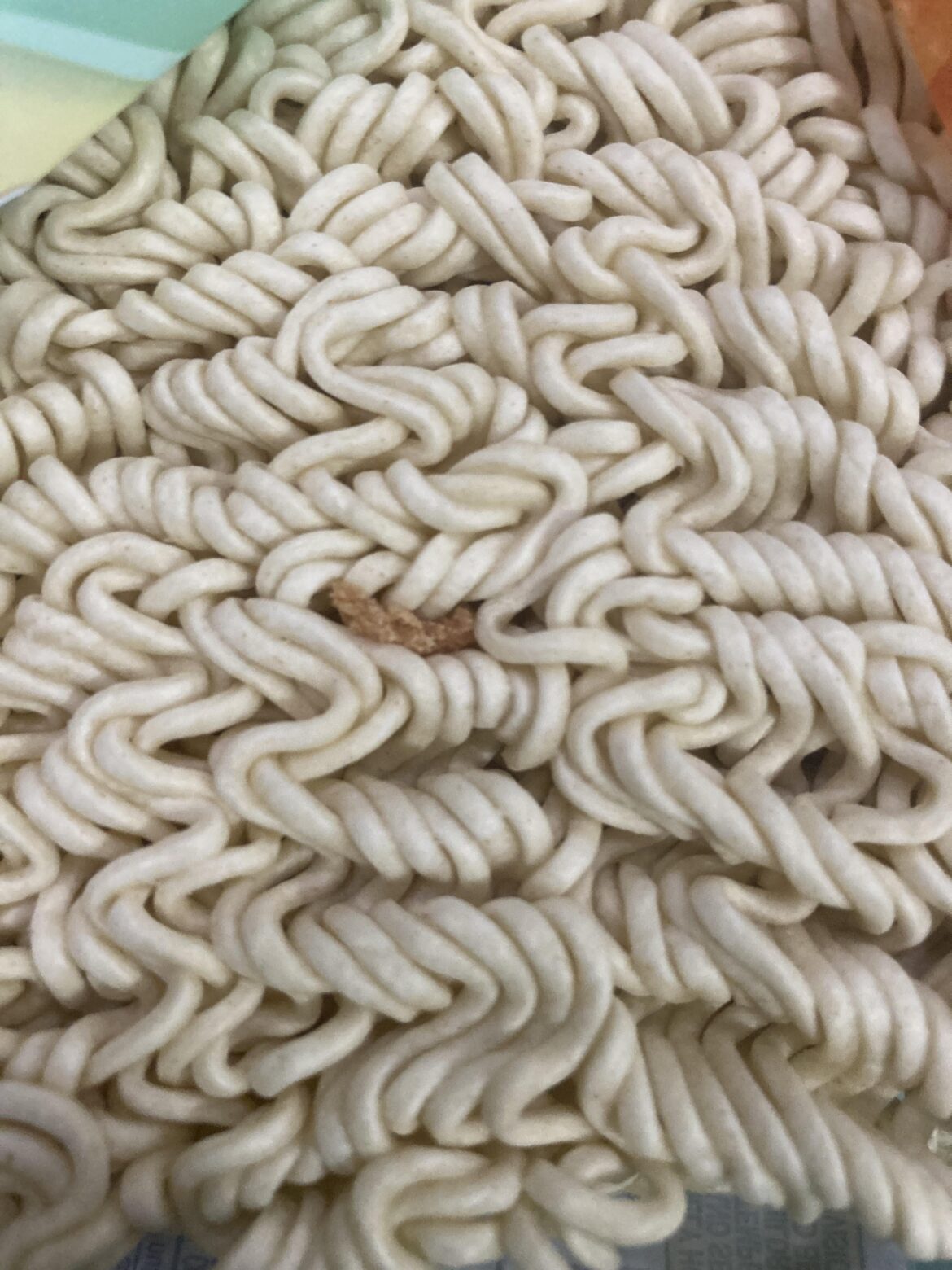 What could his be? Found in the ramen.