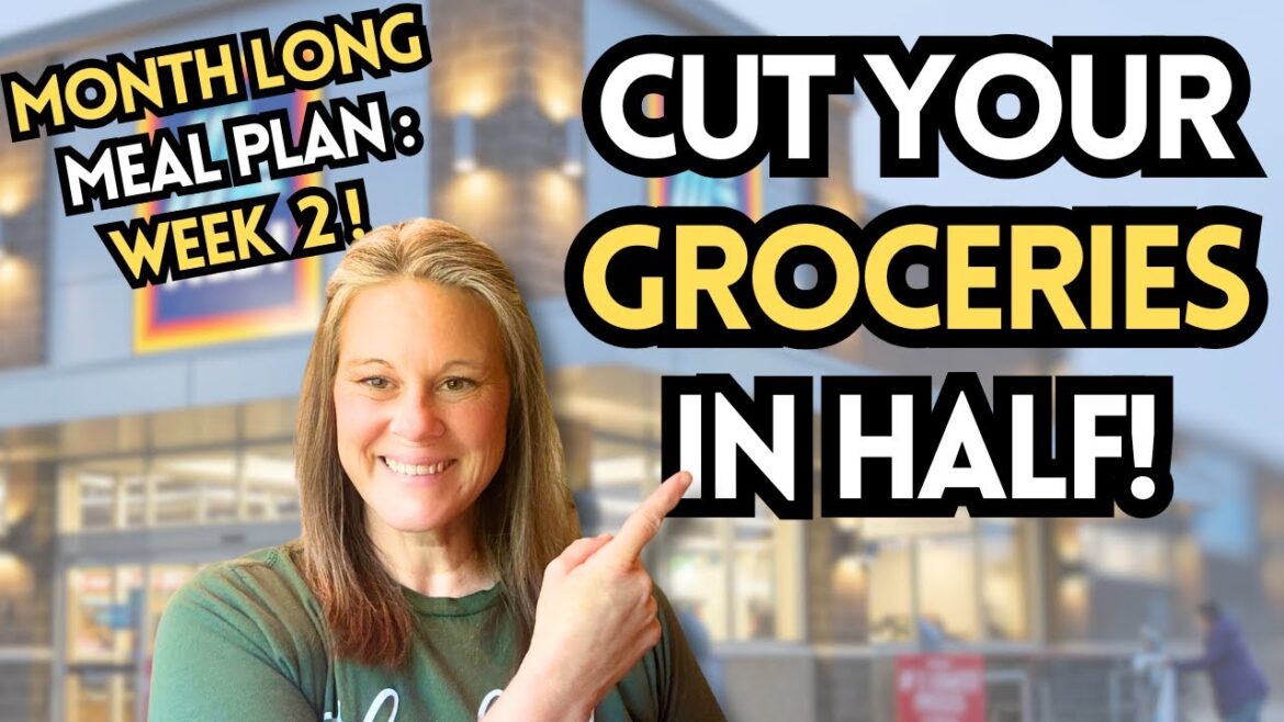 WEEK 2 - FEED YOUR FAMILY for UNDER $400 A MONTH! FULL RECIPES & MEAL PLAN INCLUDED!