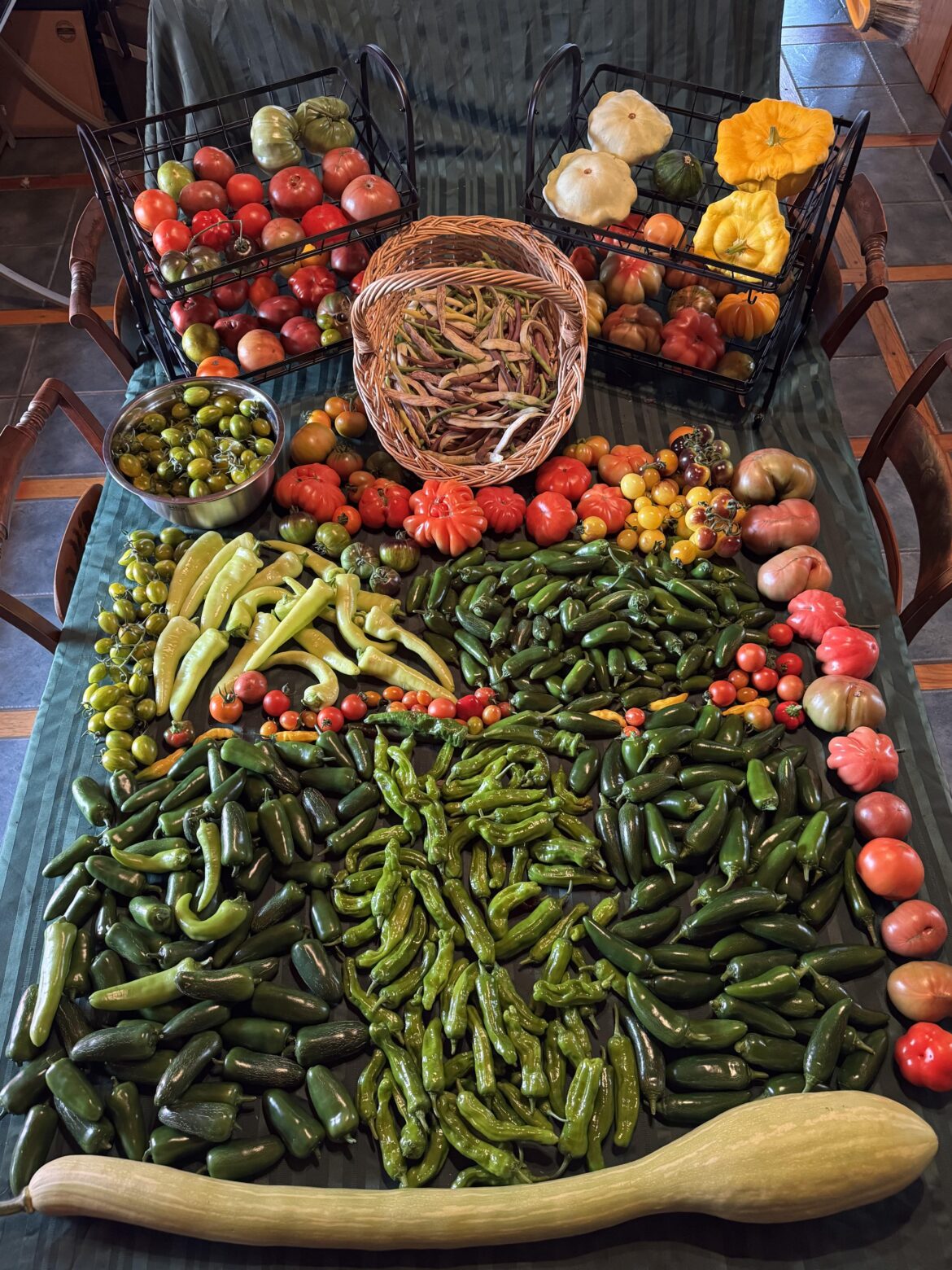 First Harvest of the Season