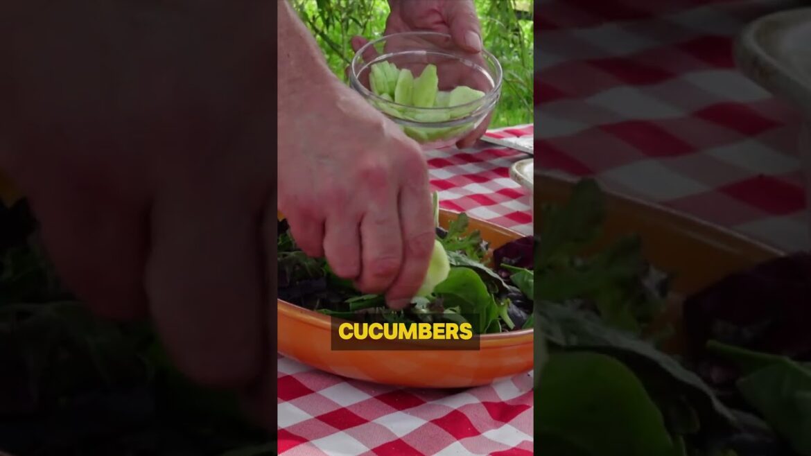 Grilled Salmon Salad with Creamy Yogurt Dressing | Mediterranean Diet