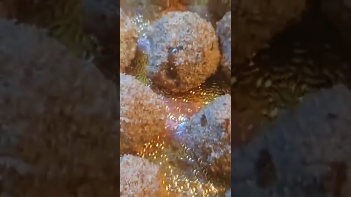 رفيس تونسي #اكلاتنا_التونسية #المطبخ_التونسي #رفيس #رفيس_تونسي #تونس #food