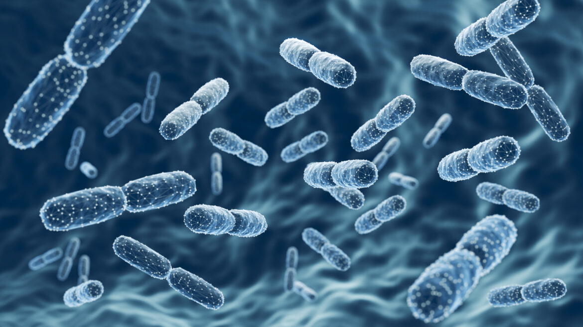 Common Food Bacteria ‘Could Transform Nutrition and Medicine’ Bacteria