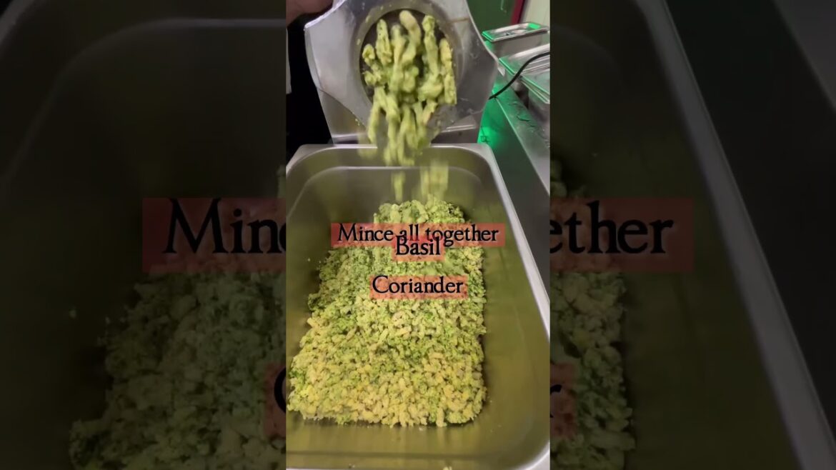 Lebanese Falafel #falafelrecipe #lebanese #tasty