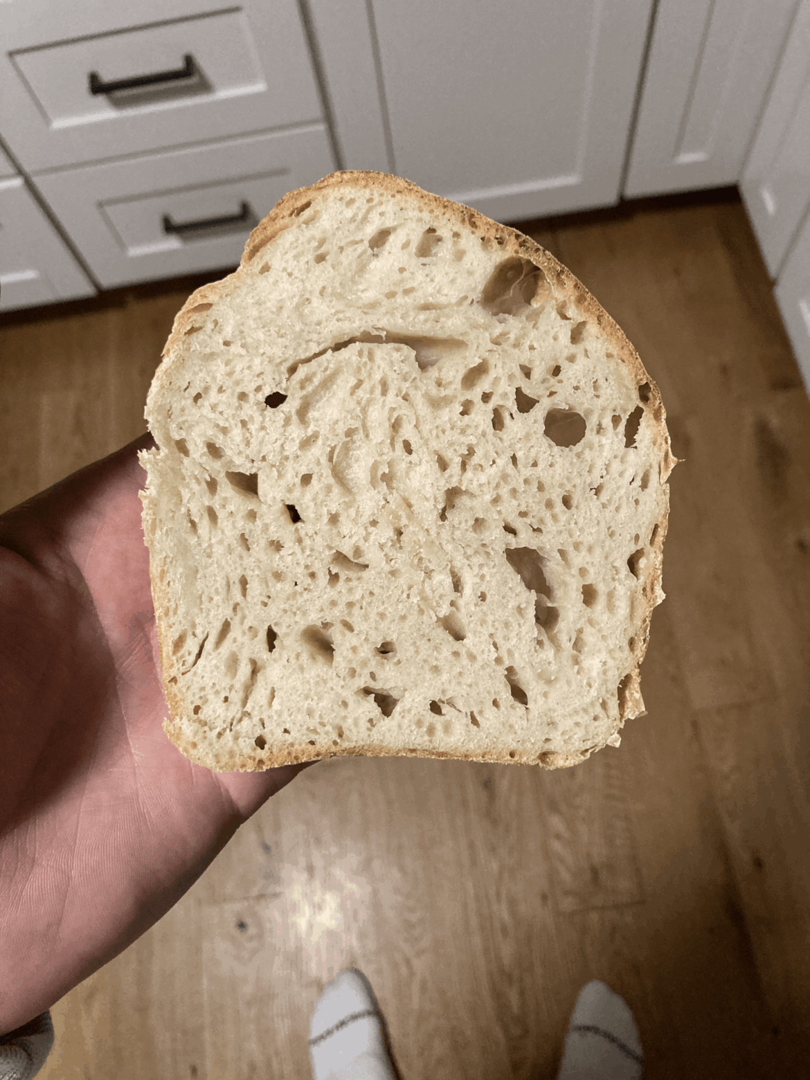 Forgot about my dough on the counter for 6 hours