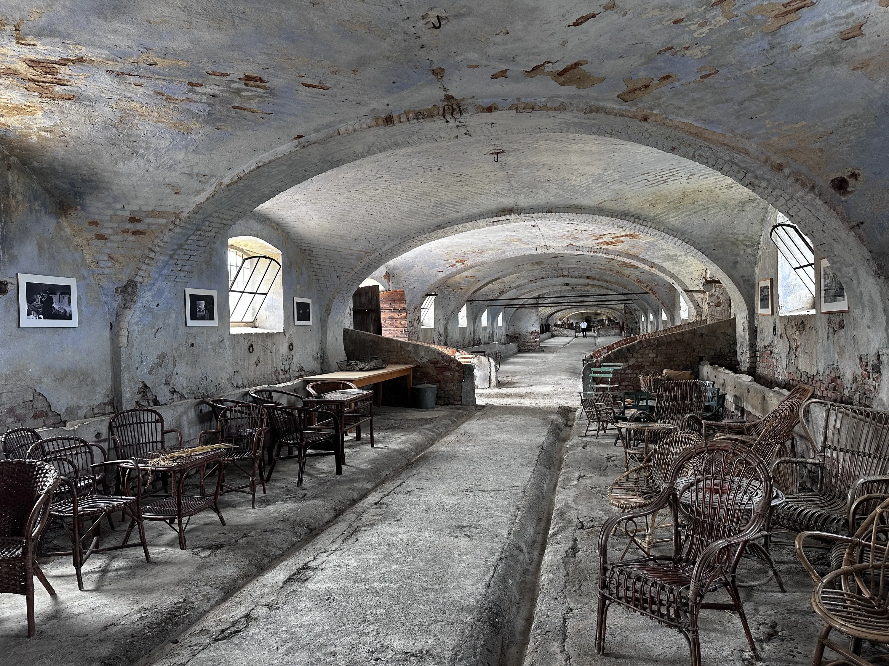 Acquarello rice farm 