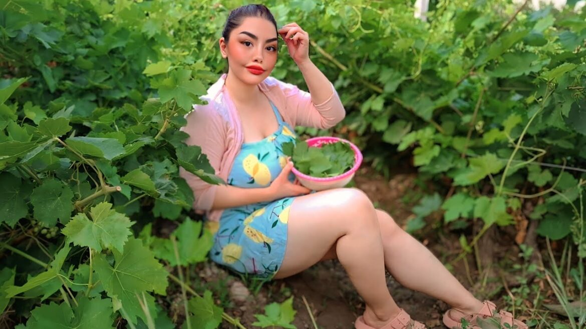 How to cook stuffed grape leaves (Yaprak sarması) in Village| Rural Life| Village Cooking|  Recipe