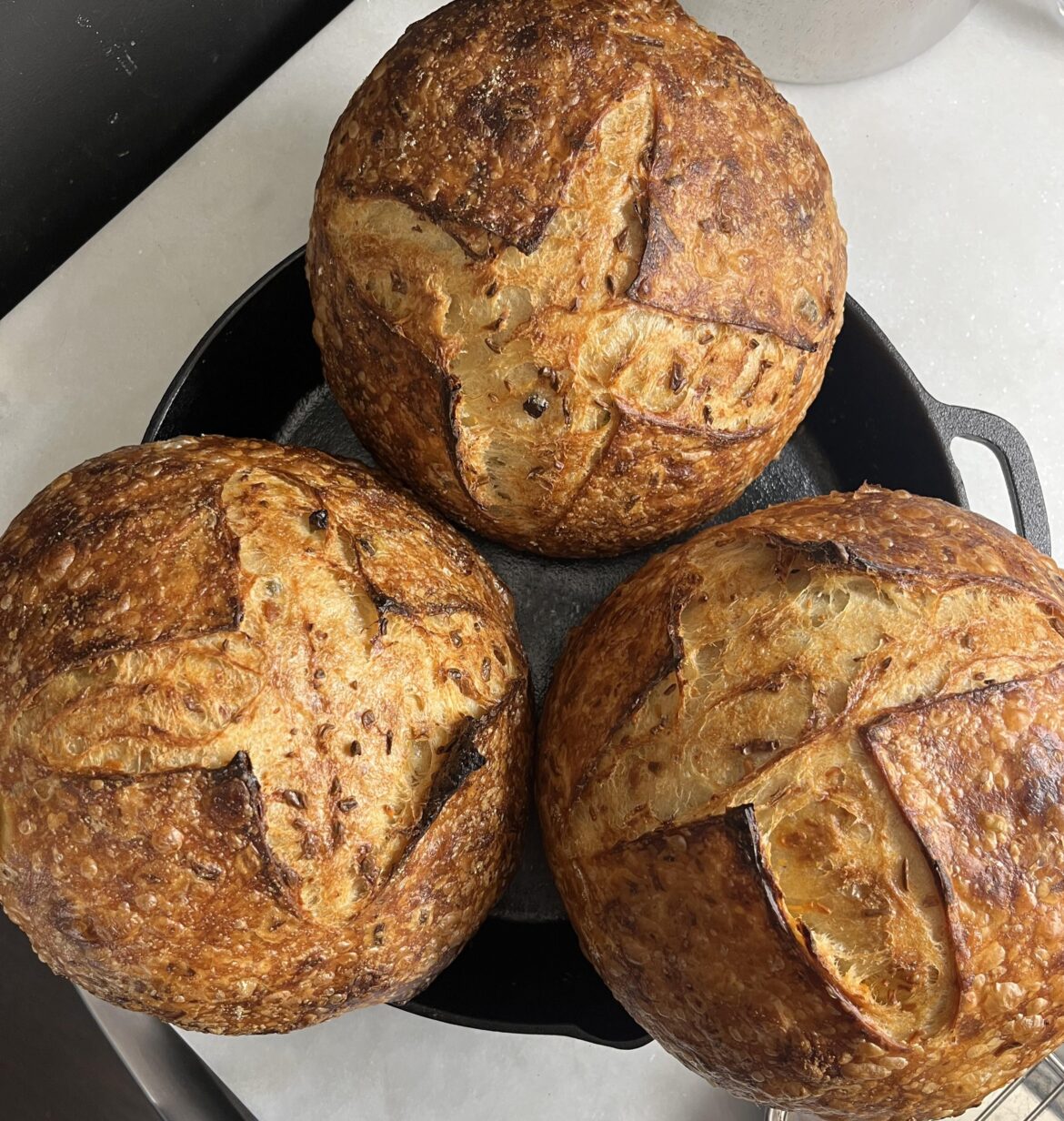 Jalapeño Cheddar Sourdough Boules