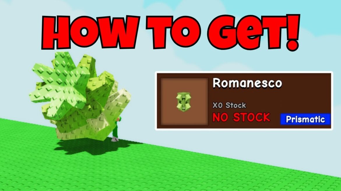 HOW TO GET ROMANESCO SHOWCASE in GROW A GARDEN! | Roblox HOW TO GET ROMANESCO SHOWCASE in GROW A GARDEN! | Roblox