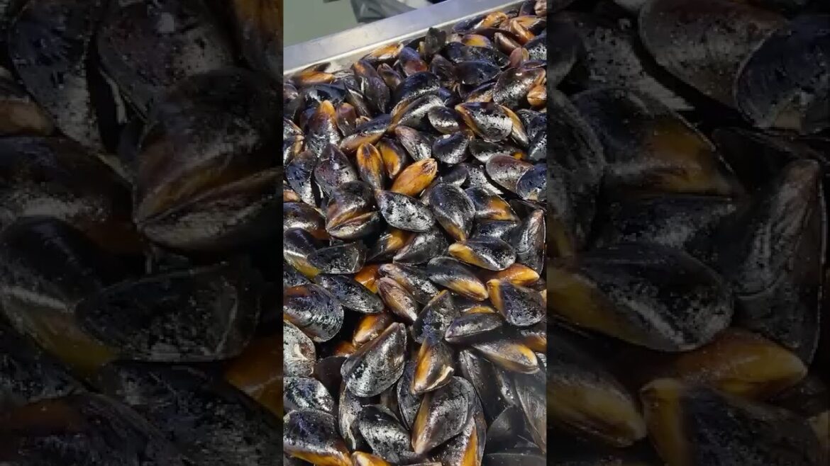 Eating Stuffed Mussels (Midye Dolma)