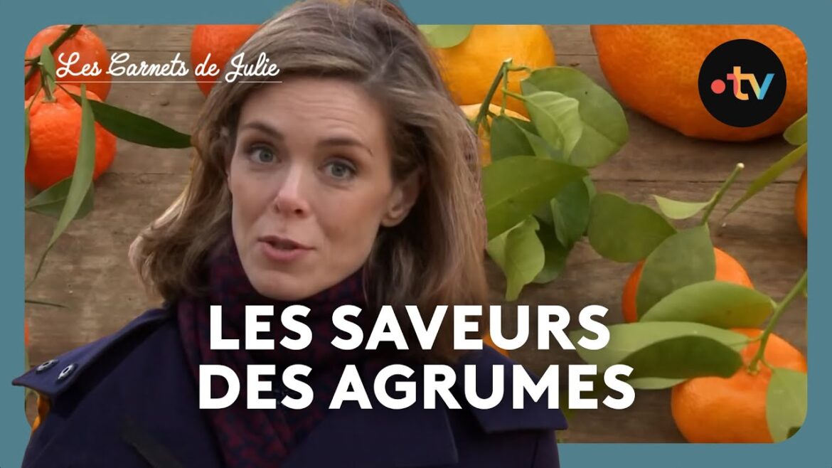 Les Carnets de Julie - Les saveurs des agrumes avec le chef Cédric Grolet