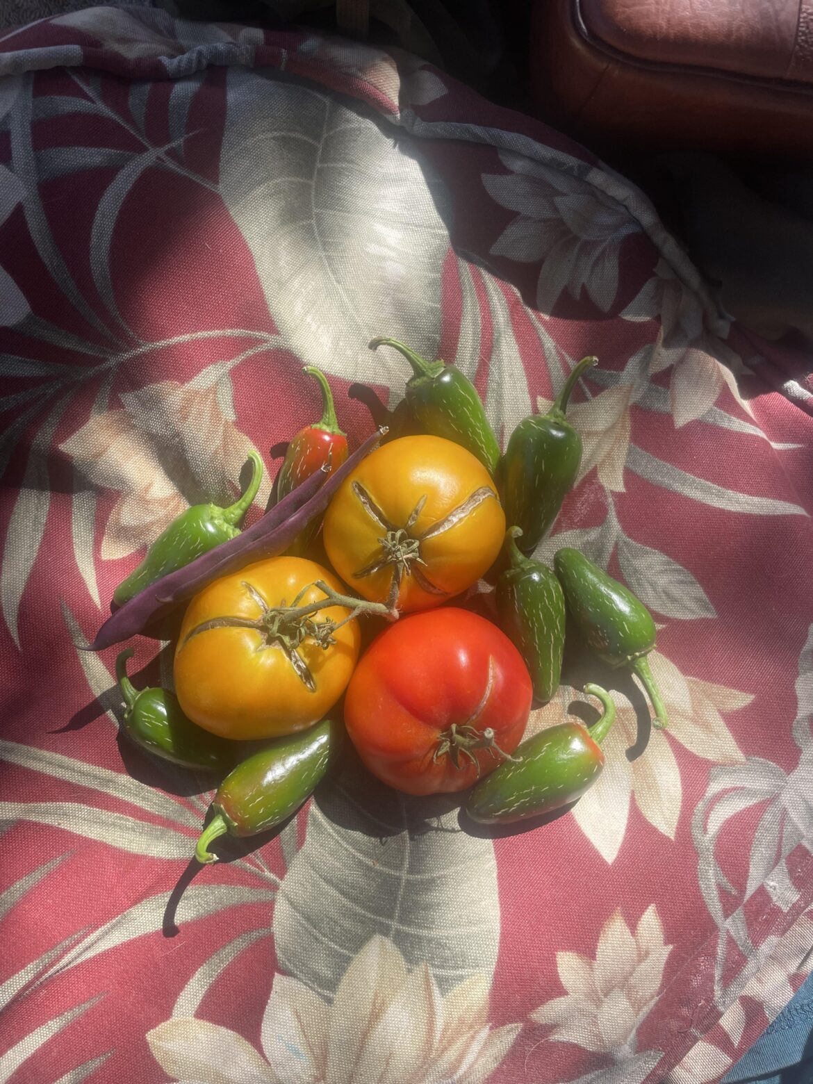 My prettiest harvest yet!