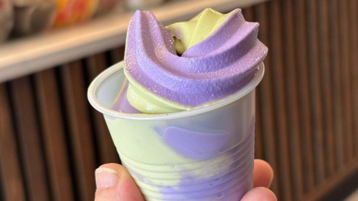 Robin's Creamery opens in Lynbrook with viral soft serve