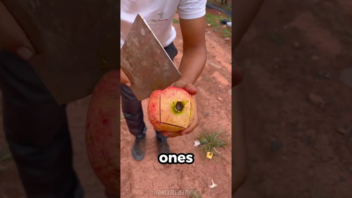 The Right Way to Peel a Pomegranate