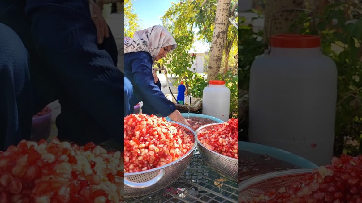 Village Secrets:Grandma’s Pomegranate Molasses Recipe#shorts #rurallife#villagelife# Village Secrets:Grandma’s Pomegranate Molasses Recipe#shorts #rurallife#villagelife#