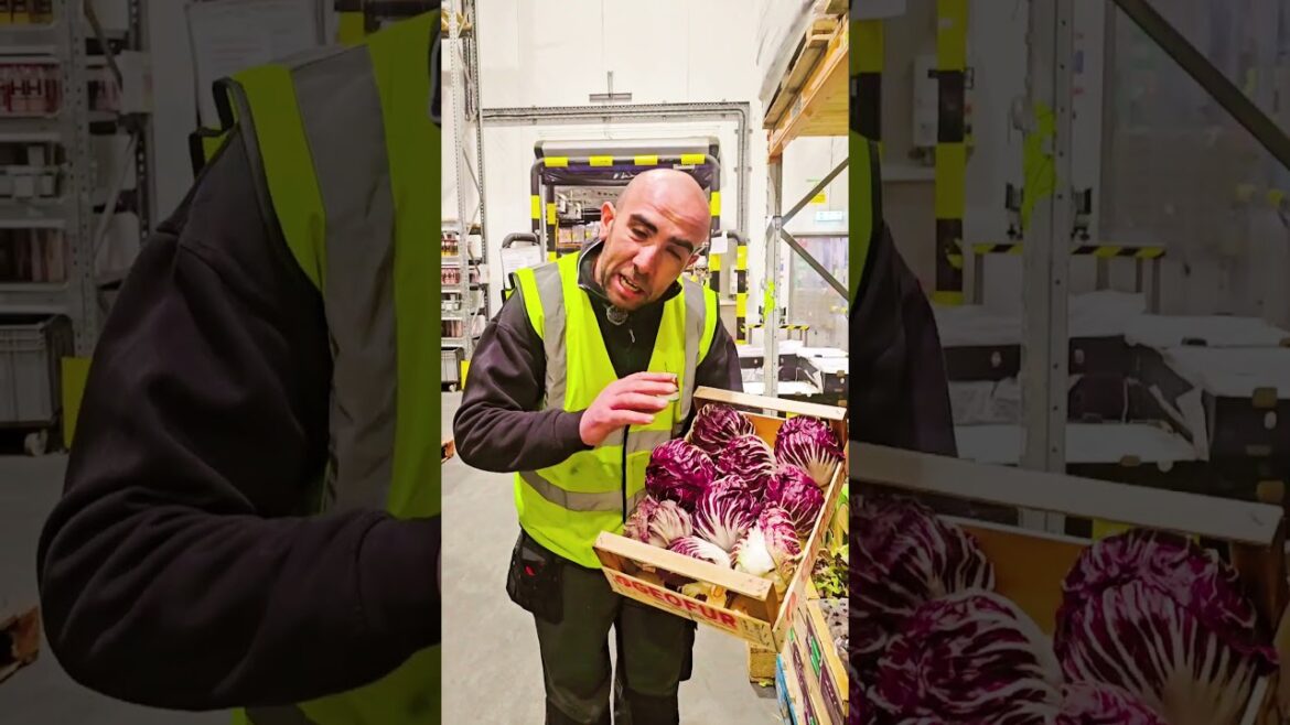 Grilled radicchio #menu #chef #italy #vegetables #foodie