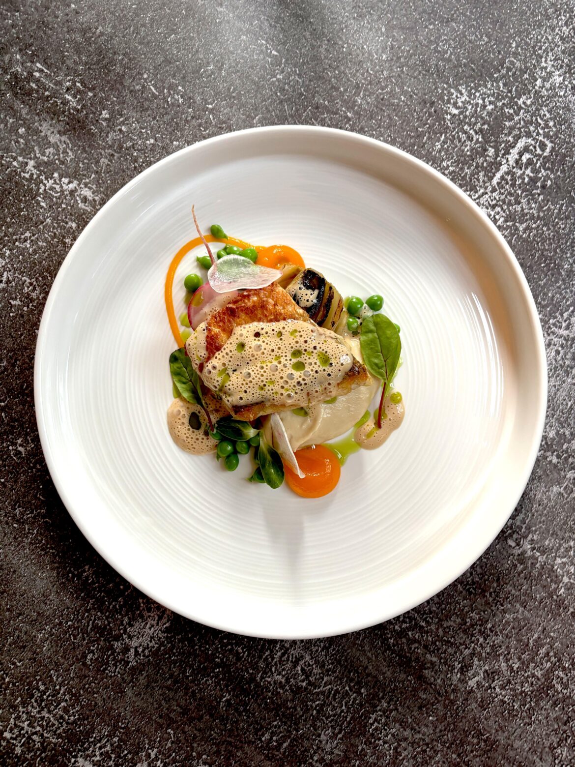 Seabass – carrot ginger purée, parsnip cannell, caramelized chicory in orange juice, green peas