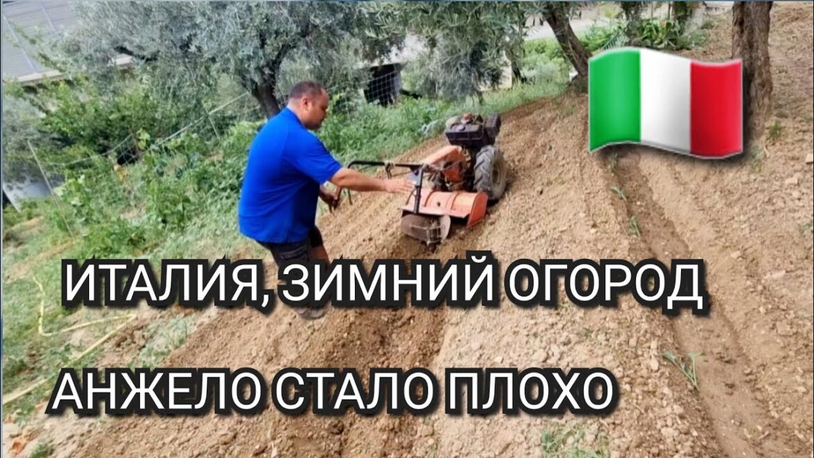 ИТАЛИЯ, ЗИМНИЙ ОГОРОД, АНЖЕЛО СТАЛО ПЛОХО, ВСЁ САМА