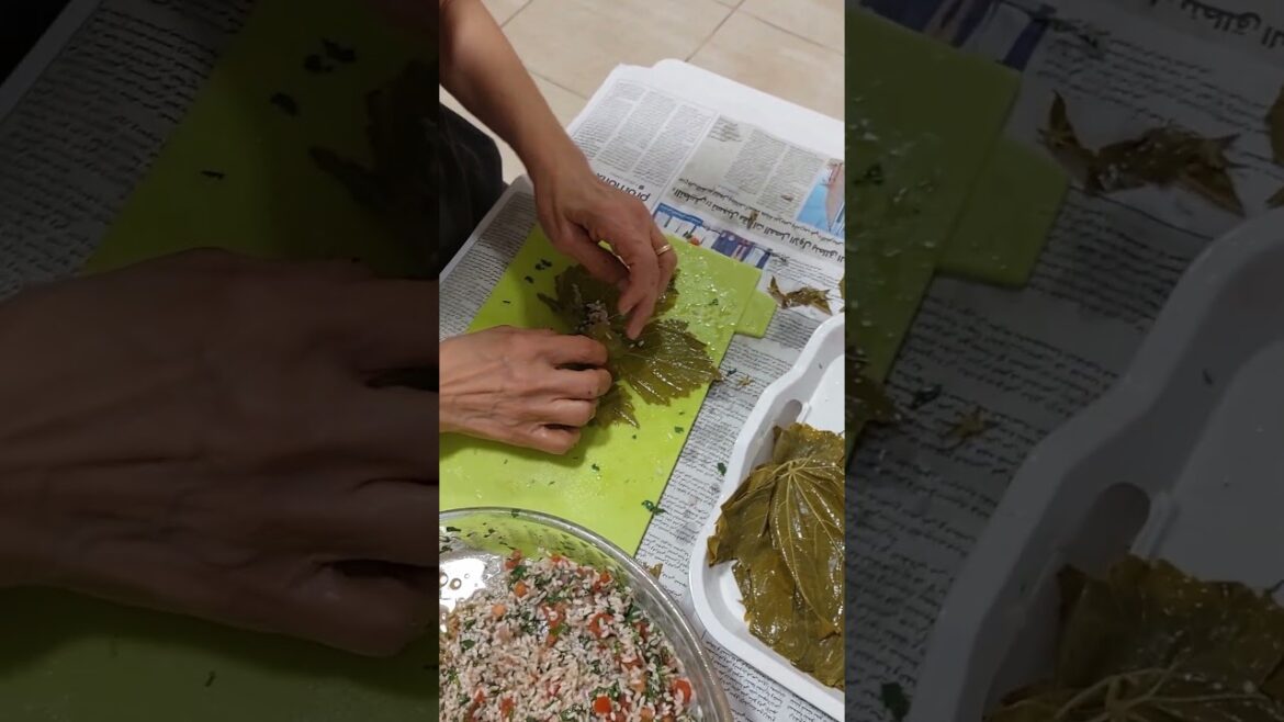 #preparing #lebanese #stuffed #grape #leaves #shortvideo #youtube #satisfying #food #preparing #lebanese #stuffed #grape #leaves #shortvideo #youtube #satisfying #food