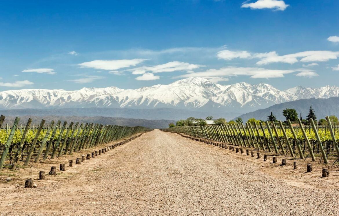 Giving Back In Argentine Wine Country